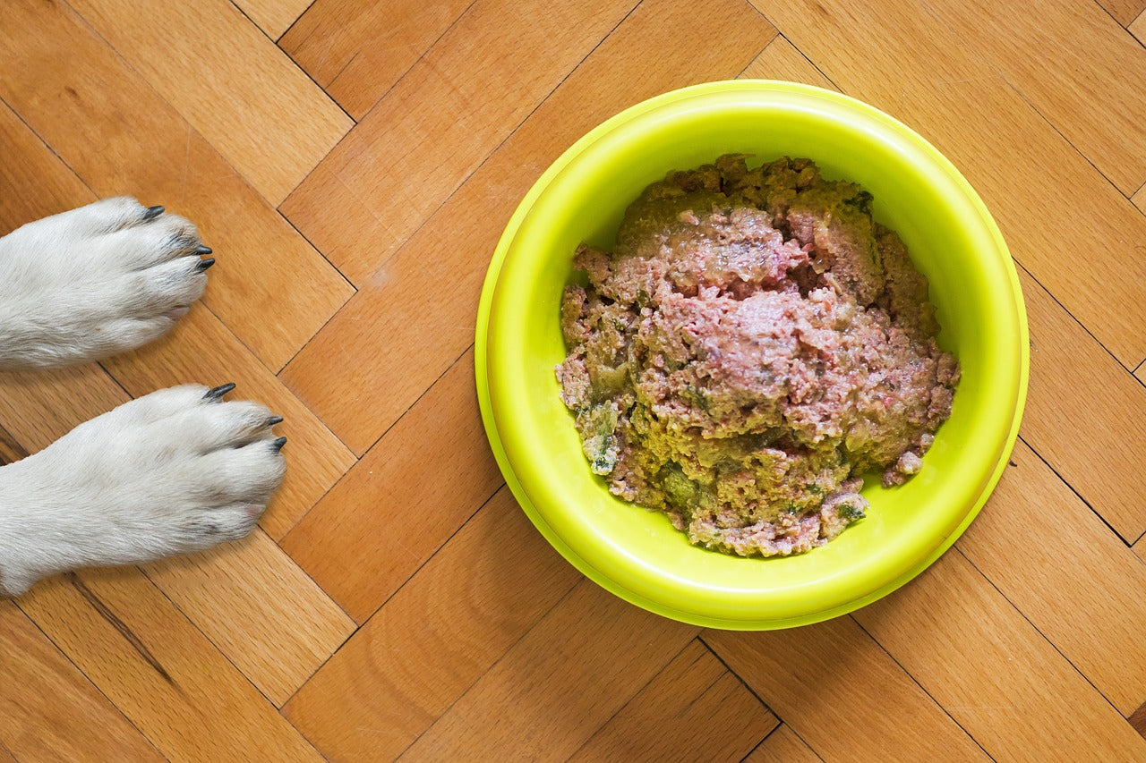 What Wet Dog Food Do Vets Recommend Talis Us