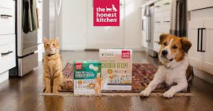 Is The Honest Kitchen Good Dog Food A
