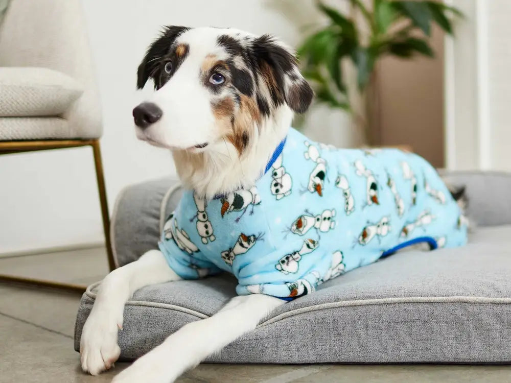 Dog Pajamas