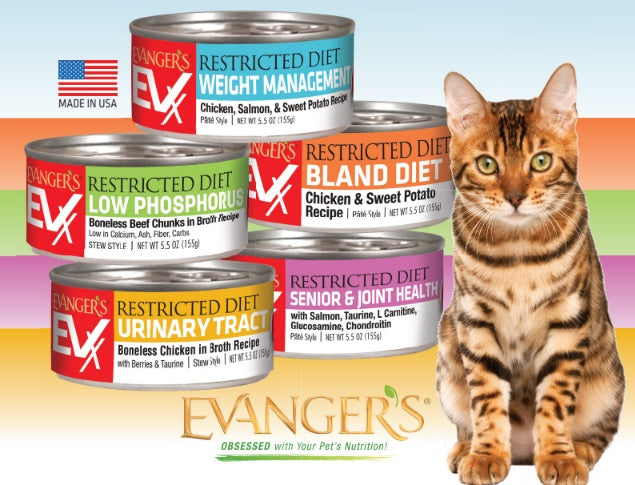 Bland wet hot sale cat food