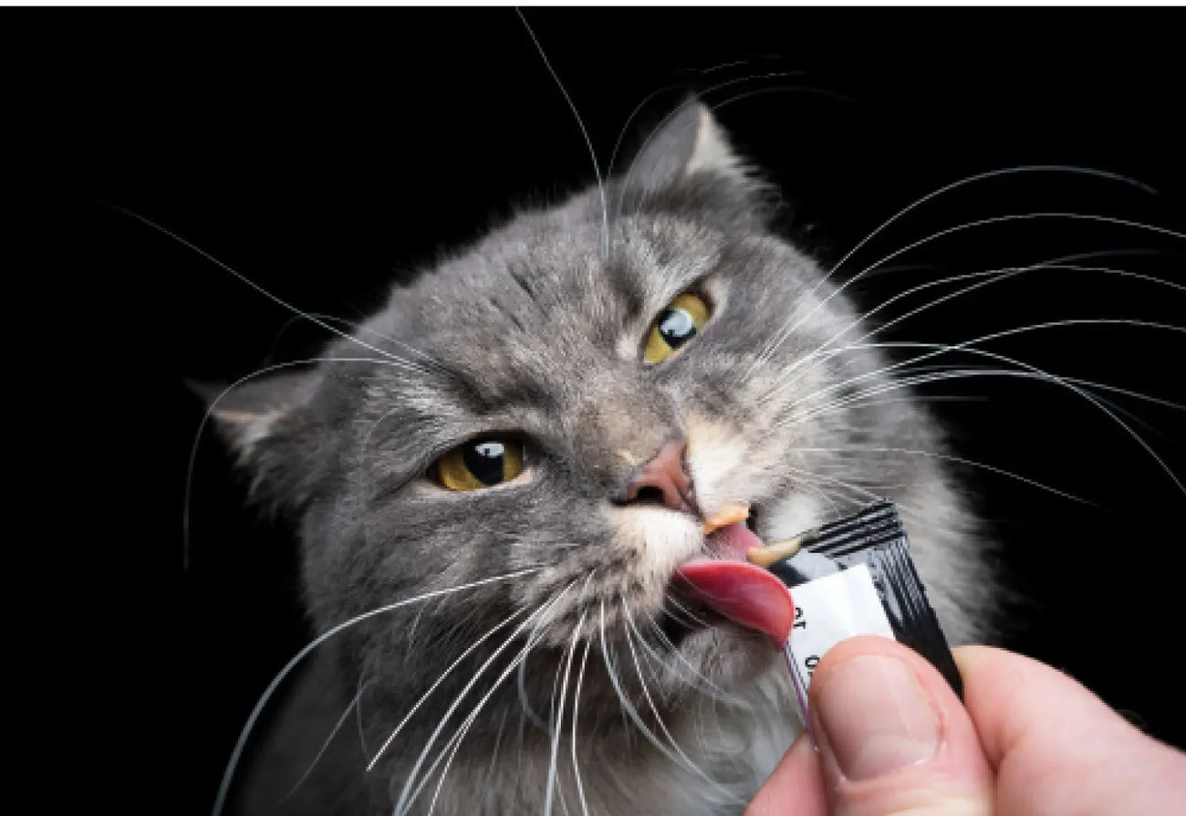 Lickable Treats