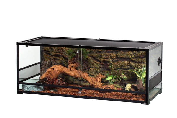 reptile terrarium