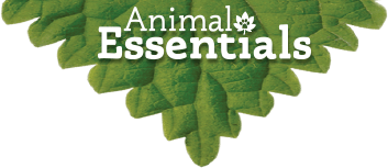 Animal Essentials