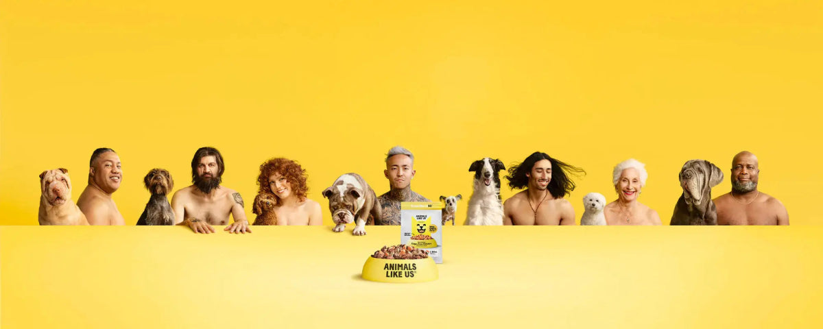 Animals Like Us - Talis Us