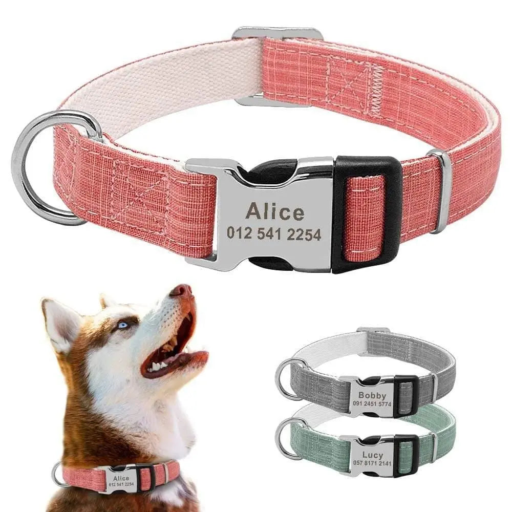 Collars, Harness and Leash - Talis Us