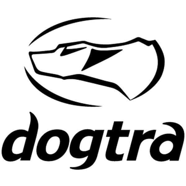 Dogtra Collars