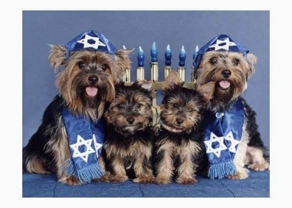 Hanukkah