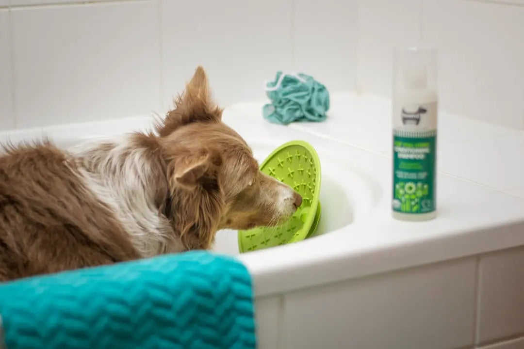 Dog-Shampoos-Conditioners Talis Us