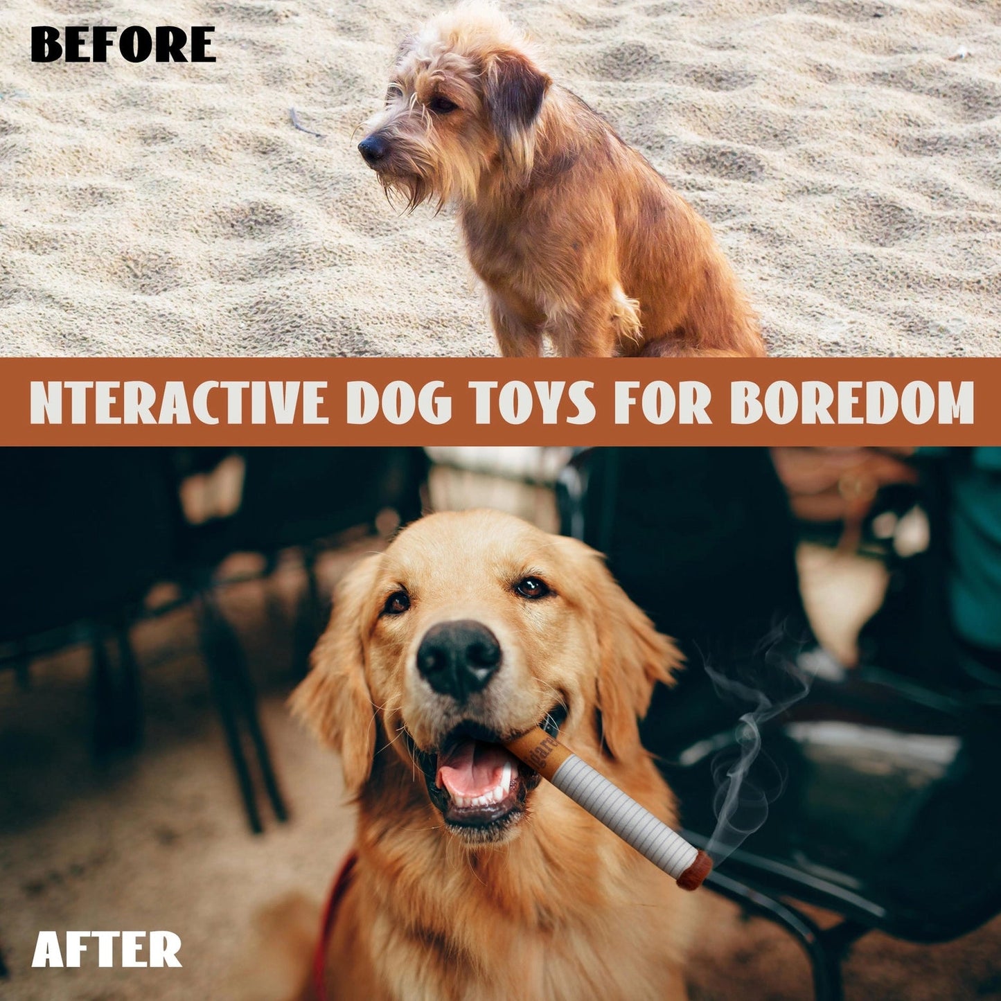 A split image labeled Before and After shows a bored brown dog above, and a happy golden retriever below with a toy cigar, featuring Nocciola Durable Giggle Toys for Puppies & Small to Medium Dogs. Brand: Nocciola.