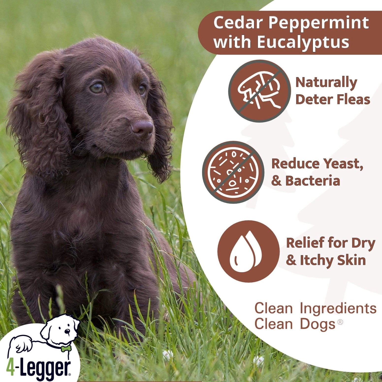 Natural cedar dog shampoo with eucalyptus, promoting clean skin and reducing fleas for dogs