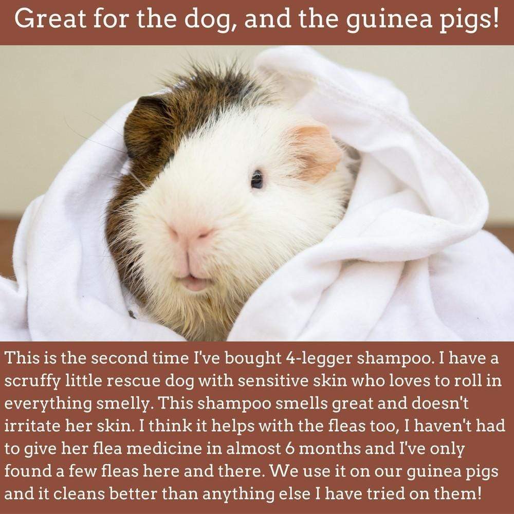 Natural cedar dog shampoo for sensitive skin, safe for dogs and guinea pigs