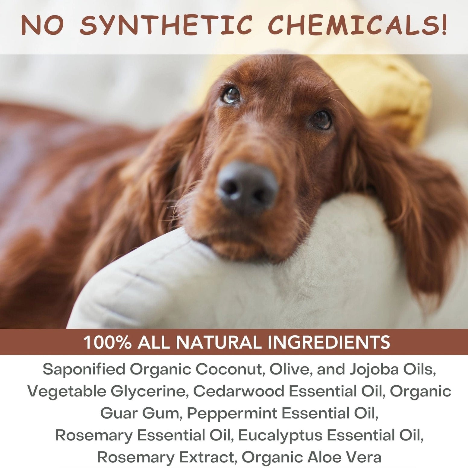 Natural cedar dog shampoo featuring 100% all natural ingredients for healthy fur and skin