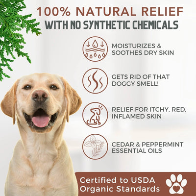 Natural cedar dog shampoo for moisturizing and soothing dry skin, with cedar and peppermint essential oils