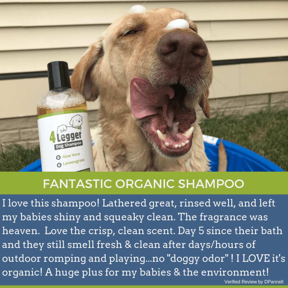 4-Legger organic hypoallergenic dog shampoo bottle with a happy dog showing clean fur outdoors