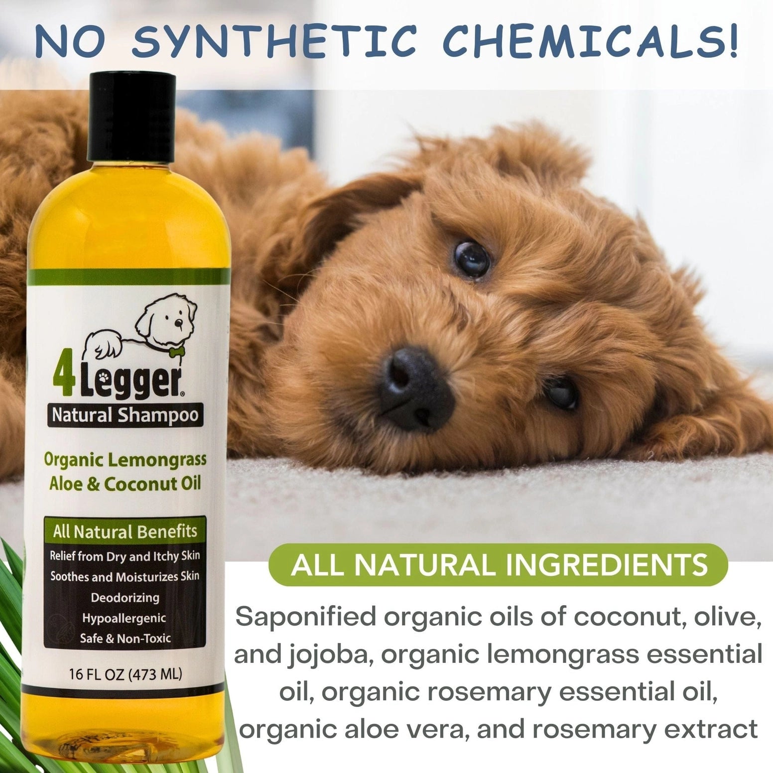 4-Legger Organic Hypoallergenic Dog Shampoo with Aloe and Coconut Oil for healthy, shiny fur
