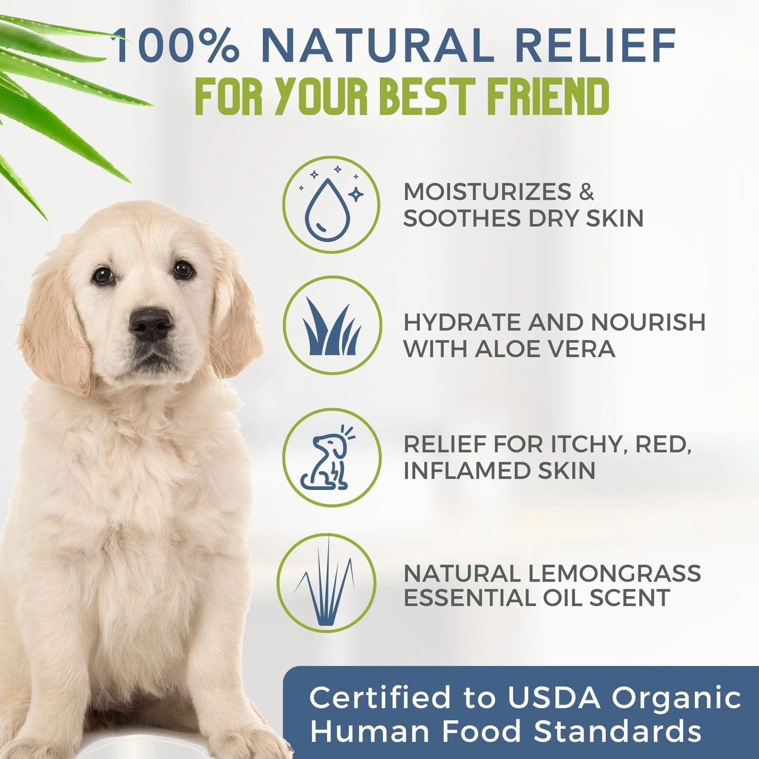 4-Legger organic hypoallergenic dog shampoo with natural ingredients for moisturizing dry skin