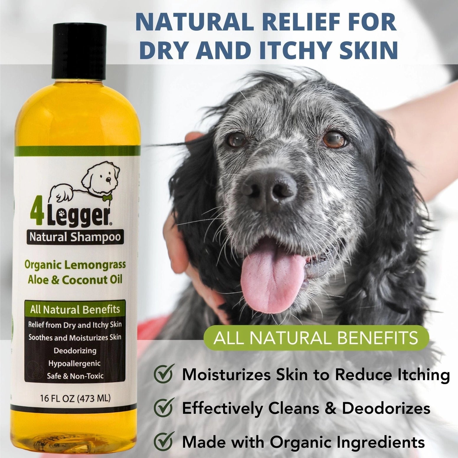 4-Legger Organic Hypoallergenic Dog Shampoo in Lemongrass for Itchy Skin Relief and Moisturizing Benefits