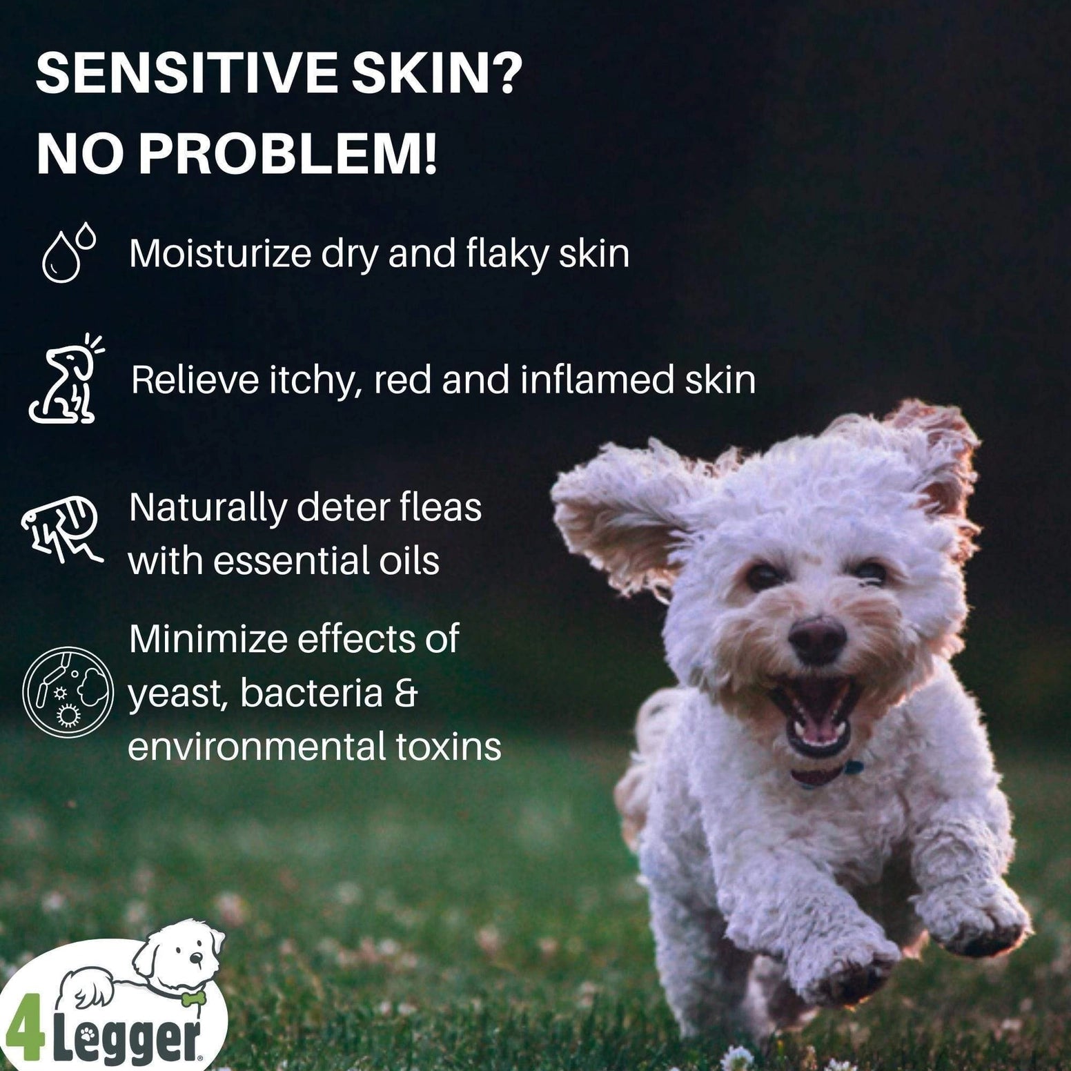 4-Legger Organic Hypoallergenic Dog Shampoo for Sensitive Skin with Essential Oils and Moisturizing Properties