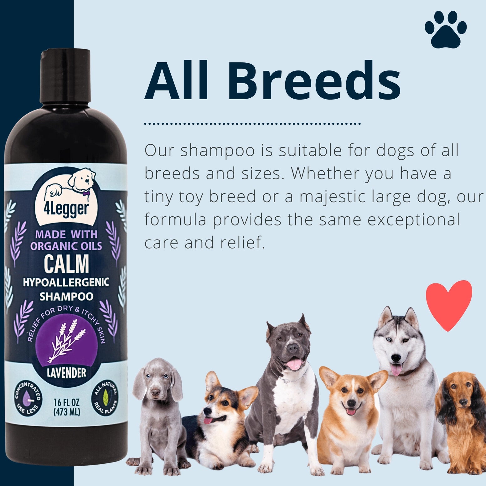 4-Legger Organic Lavender Dog Shampoo for all breeds, hypoallergenic and soothing for dry skin