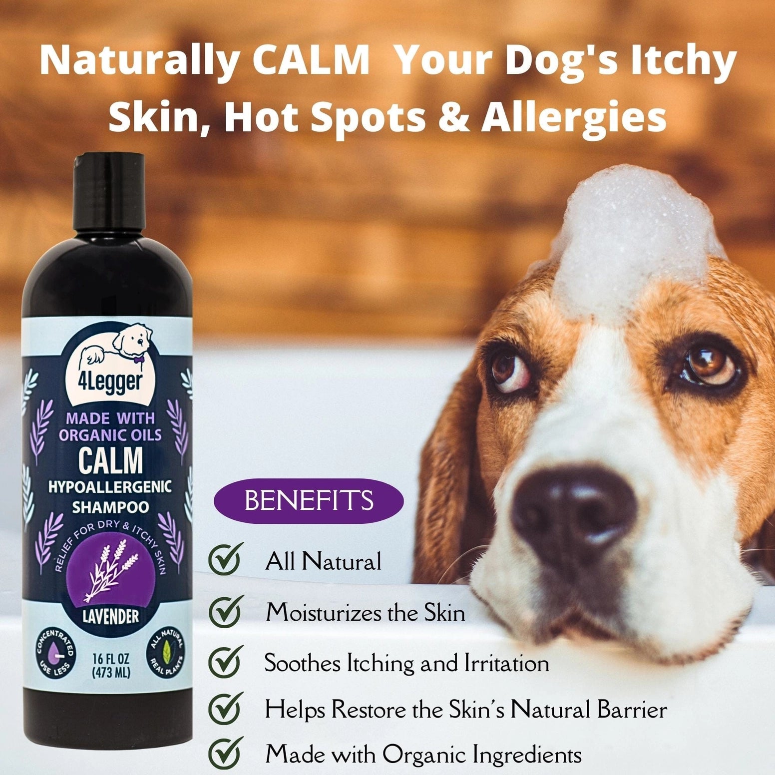 4-Legger Organic Lavender Dog Shampoo for Itchy Skin, Hypoallergenic and Moisturizing Formula