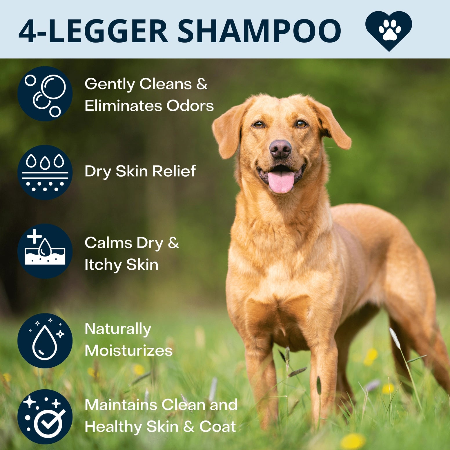 4-Legger organic lavender dog shampoo for gentle cleaning and soothing dry skin