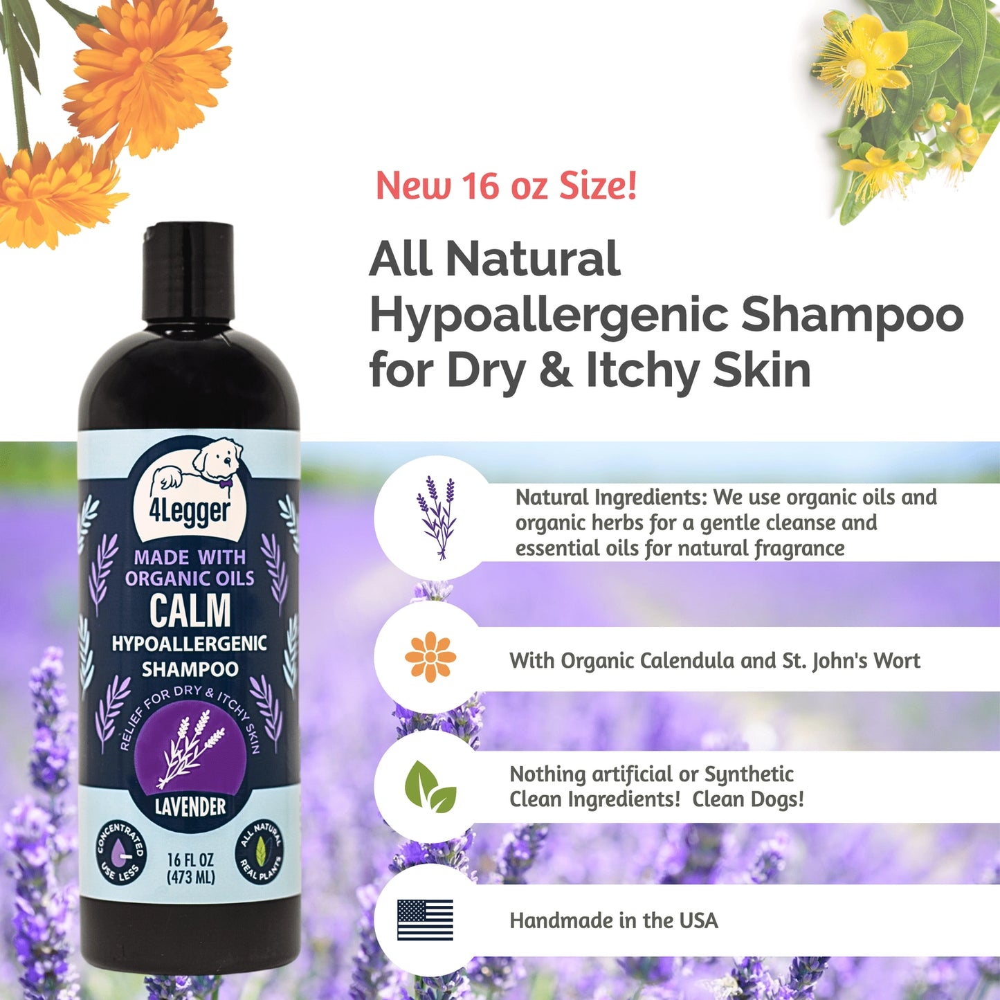 4-Legger 16 oz Organic Lavender Dog Shampoo for Dry and Itchy Skin with Natural Ingredients