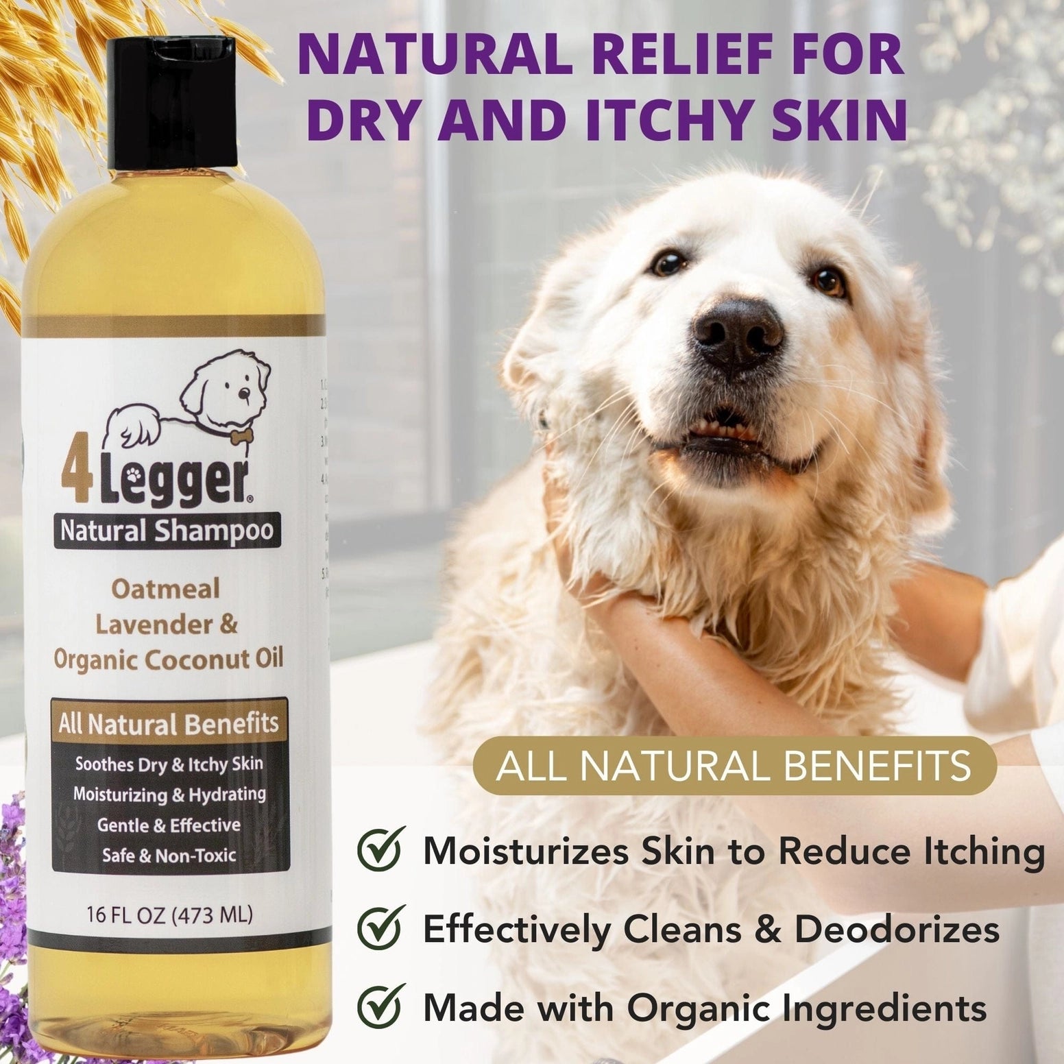 4-Legger Organic Oatmeal Dog Shampoo with Lavender and Coconut Oil for Dry and Itchy Skin Relief