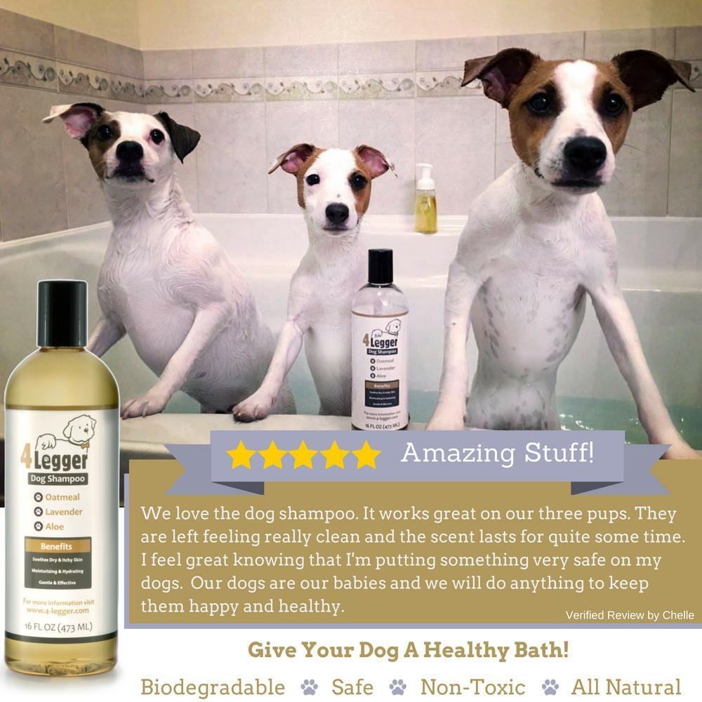 4-Legger Organic Oatmeal Dog Shampoo in a bottle with three happy dogs enjoying a bath
