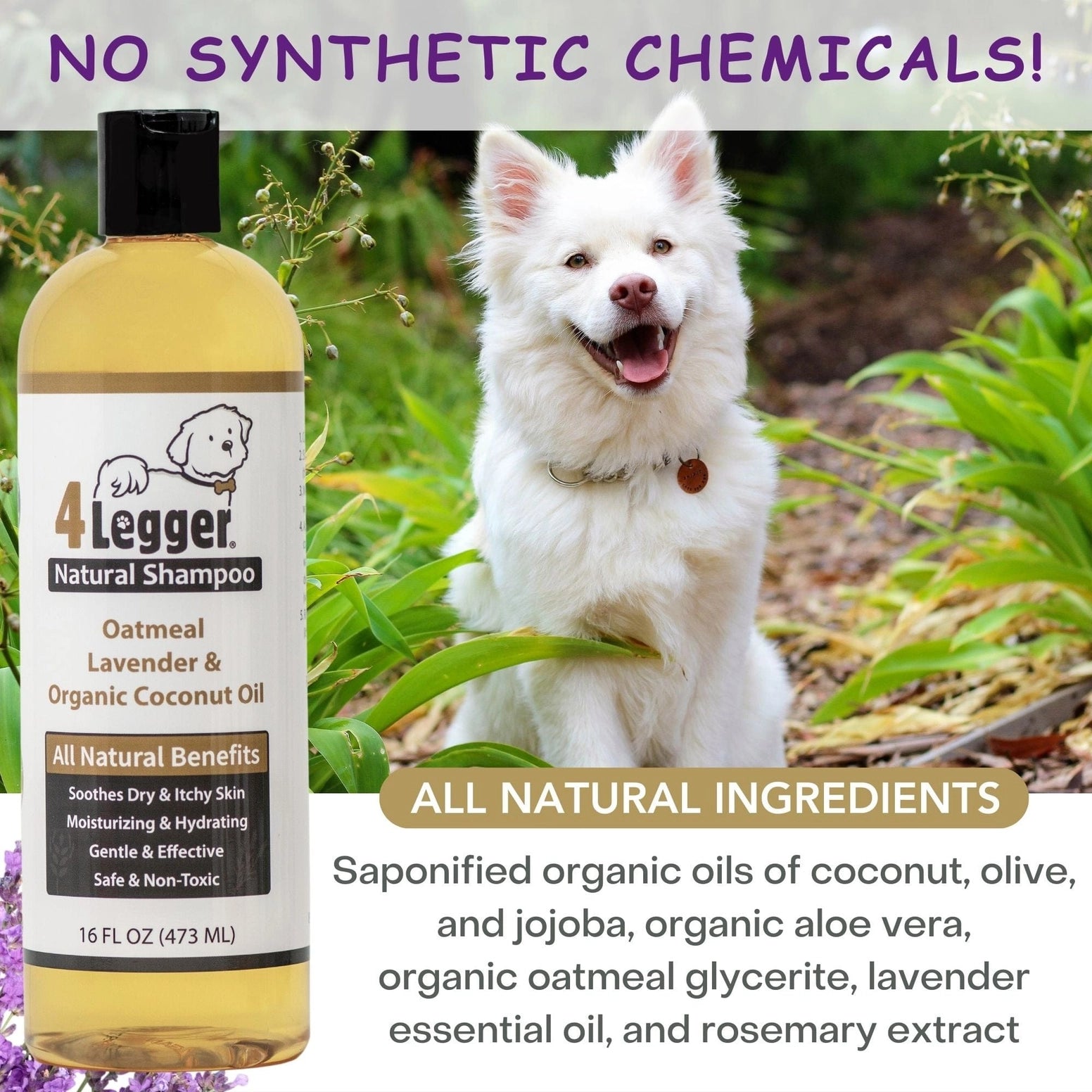 4-Legger Organic Oatmeal Dog Shampoo with Lavender and Coconut Oil for sensitive skin care