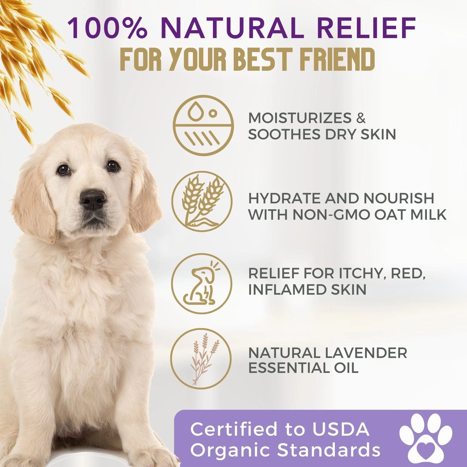 4-Legger Organic Oatmeal Dog Shampoo for moisturizing and soothing dry skin in pets