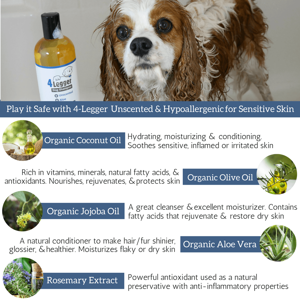 4-Legger Unscented Hypoallergenic Dog Shampoo with organic ingredients for sensitive skin care