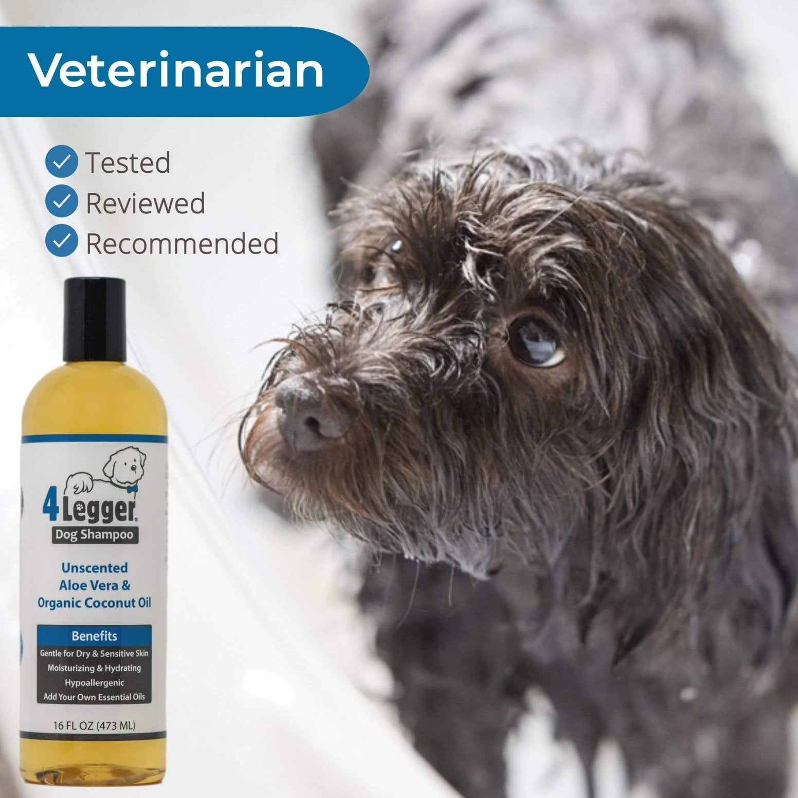 4-Legger Unscented Hypoallergenic Dog Shampoo with Aloe Vera and Coconut Oil for Sensitive Dogs