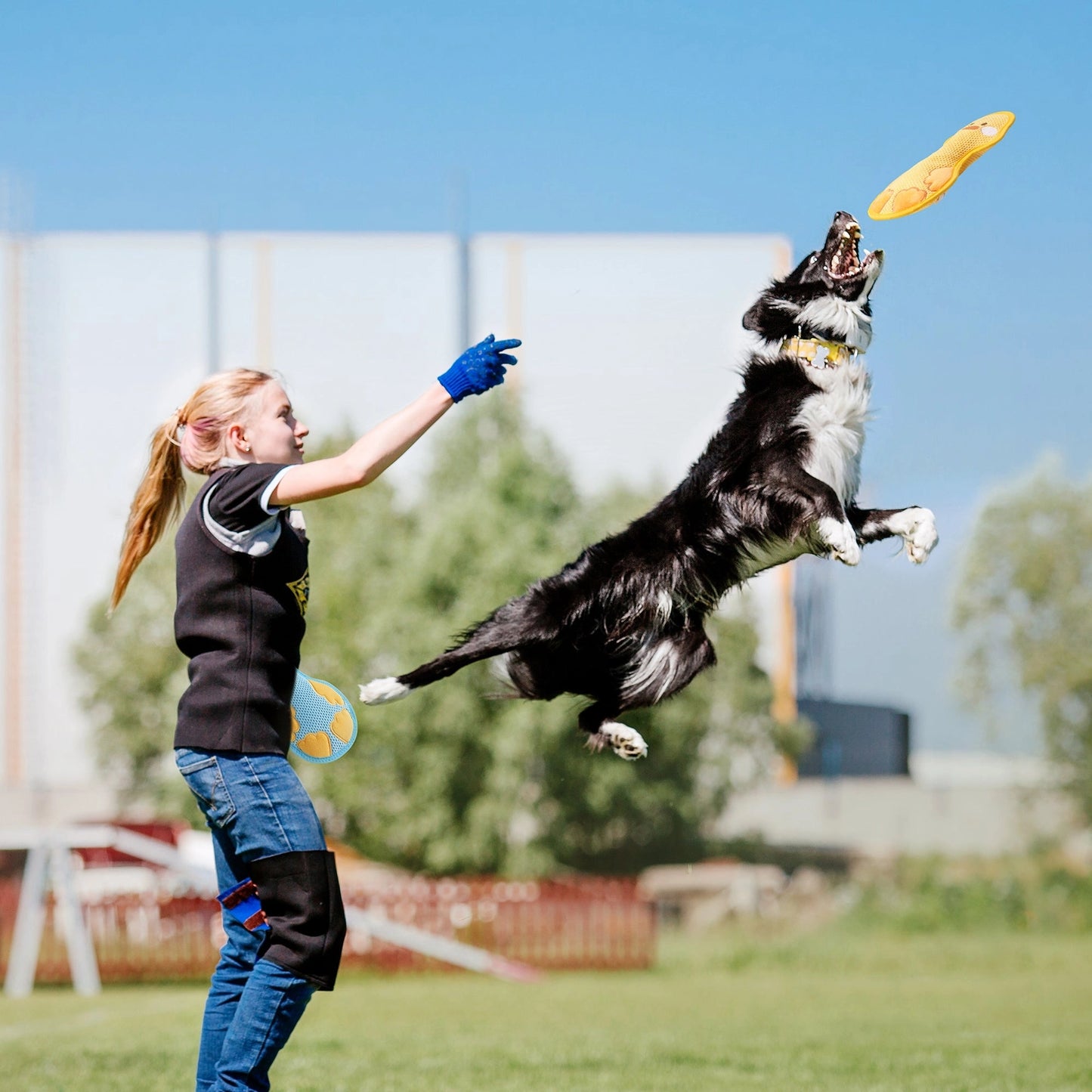 A girl tosses the Nocciola Durable Duck Squeaky Dog Toy for Aggressive Chewers, while a black and white dog leaps to catch it in a grassy outdoor field on a sunny day.