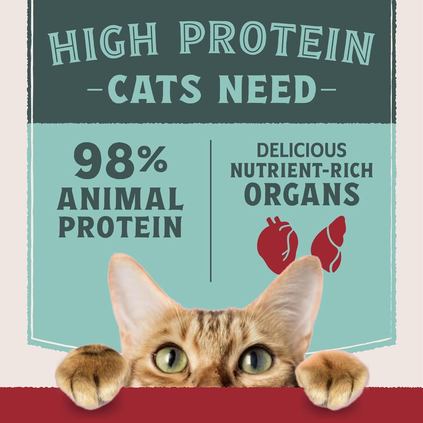 A brown tabby cat peers over a red surface beneath a sign: High protein cats need 98% animal protein, nutrient-rich organs—just like Natural Balance Ultra Protein Cuts in Gravy Wet Cat Food on a teal background.