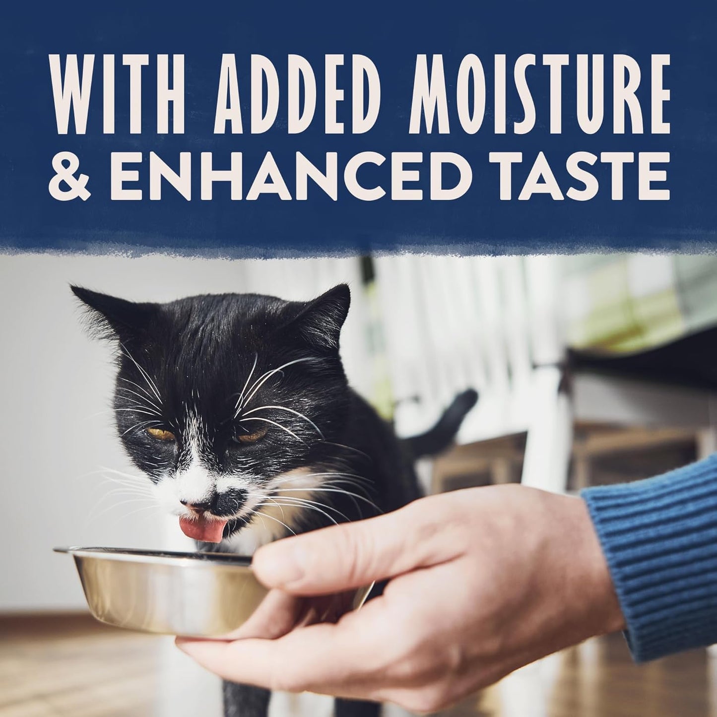 A black and white cat enjoys Natural Balance Limited Ingredient Soft Pate in Broth Wet Cat Food from a metal bowl held by a person in a blue sleeve, with the text With Added Moisture & Enhanced Taste above.