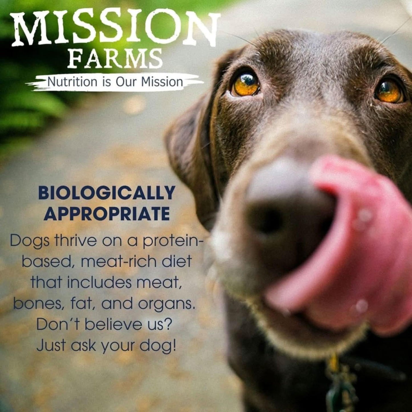 Mission Farms Cage-Free Chicken & Pumpkin Freeze-Dried Dog Food 14oz