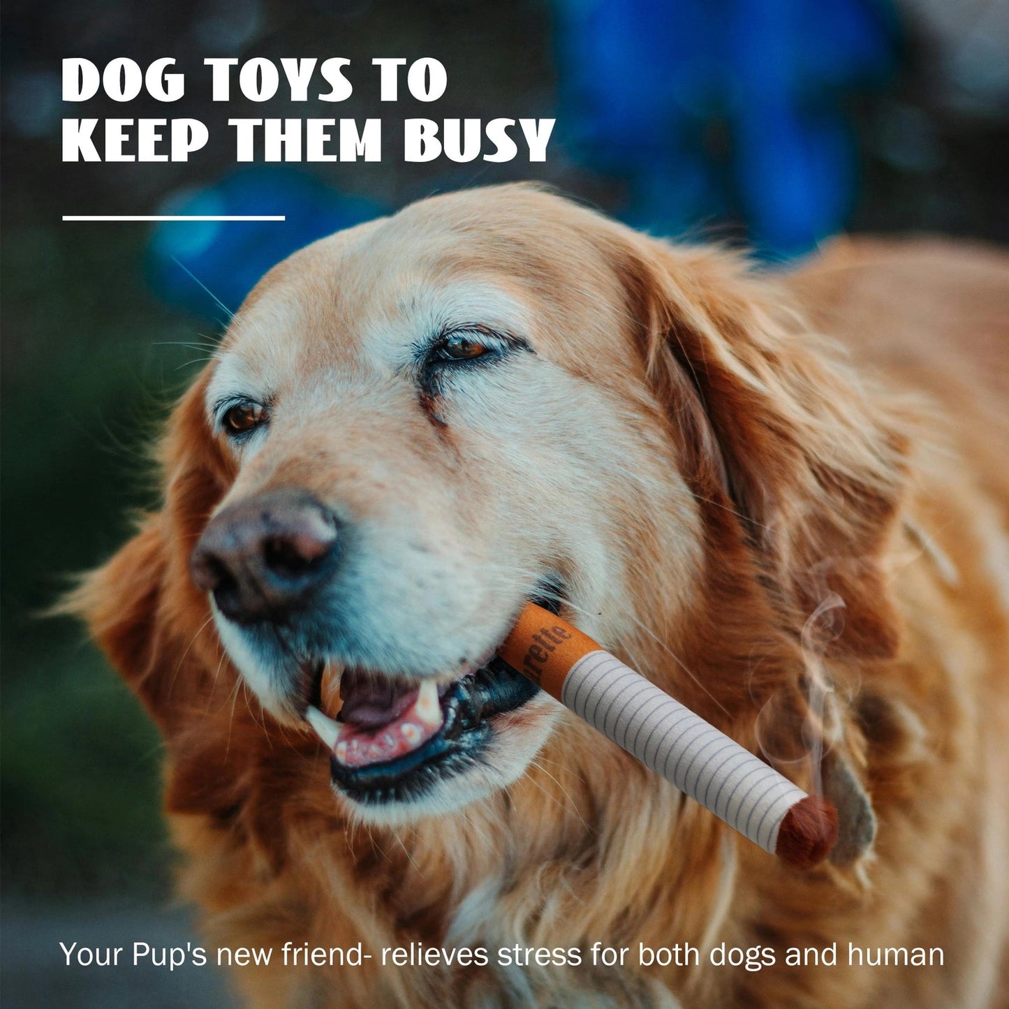 A golden retriever holds a Nocciola Durable Giggle Toy in its mouth. Text: DOG TOYS TO KEEP THEM BUSY—Nocciola’s toys relieve stress for both dogs and humans. Durable giggle toys perfect for outdoor fun, for puppies & small to medium dogs. Outdoor blurred background.