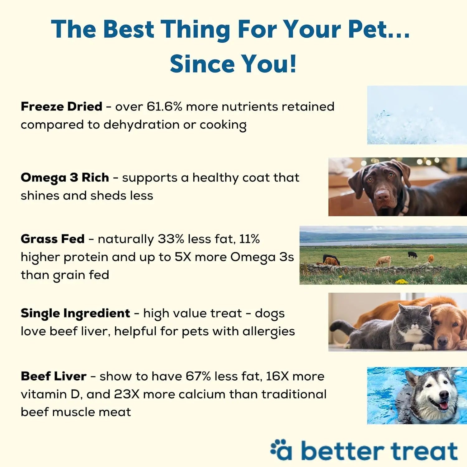 A Better Treat Freeze Dried Raw Grass Fed Beef Liver Dog and Cat Treats A Better Treat