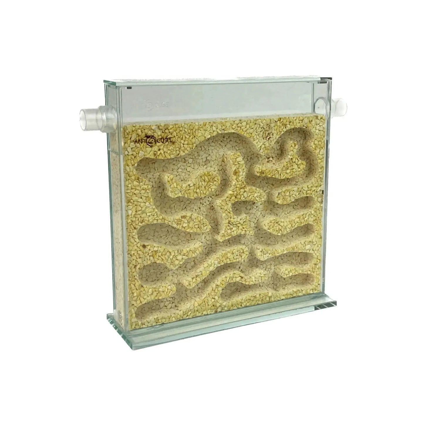 ANTCUBE - Popcorn Nest 20x20 - L Antcube