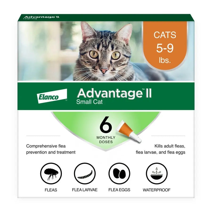 Advantage II flea treatment for small cats packaging featuring a tabby cat, includes six monthly doses