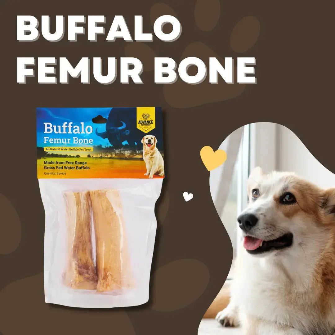 On the left is a package of Advance Pet Products All Natural Water Buffalo Femur Bone Chew for Dogs; on the right, a happy dog enjoys the chew indoors. Bold text above says Buffalo Femur Bone on a brown paw-print background.