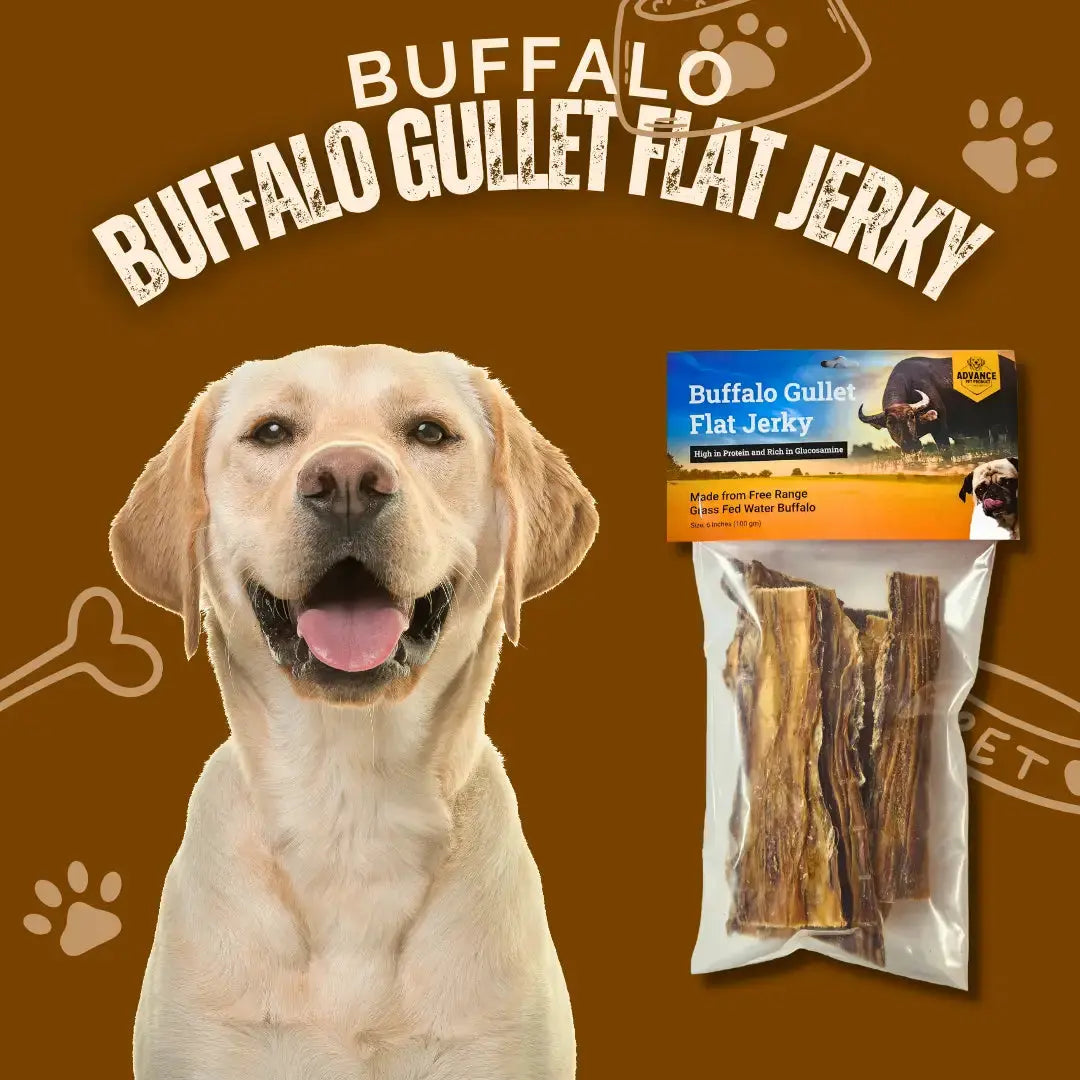 A cheerful yellow Labrador retriever sits beside a package of Advance Pet Products All Natural Water Buffalo Gullet Flat Jerky for Dogs, set against a brown background with bone and paw print graphics.