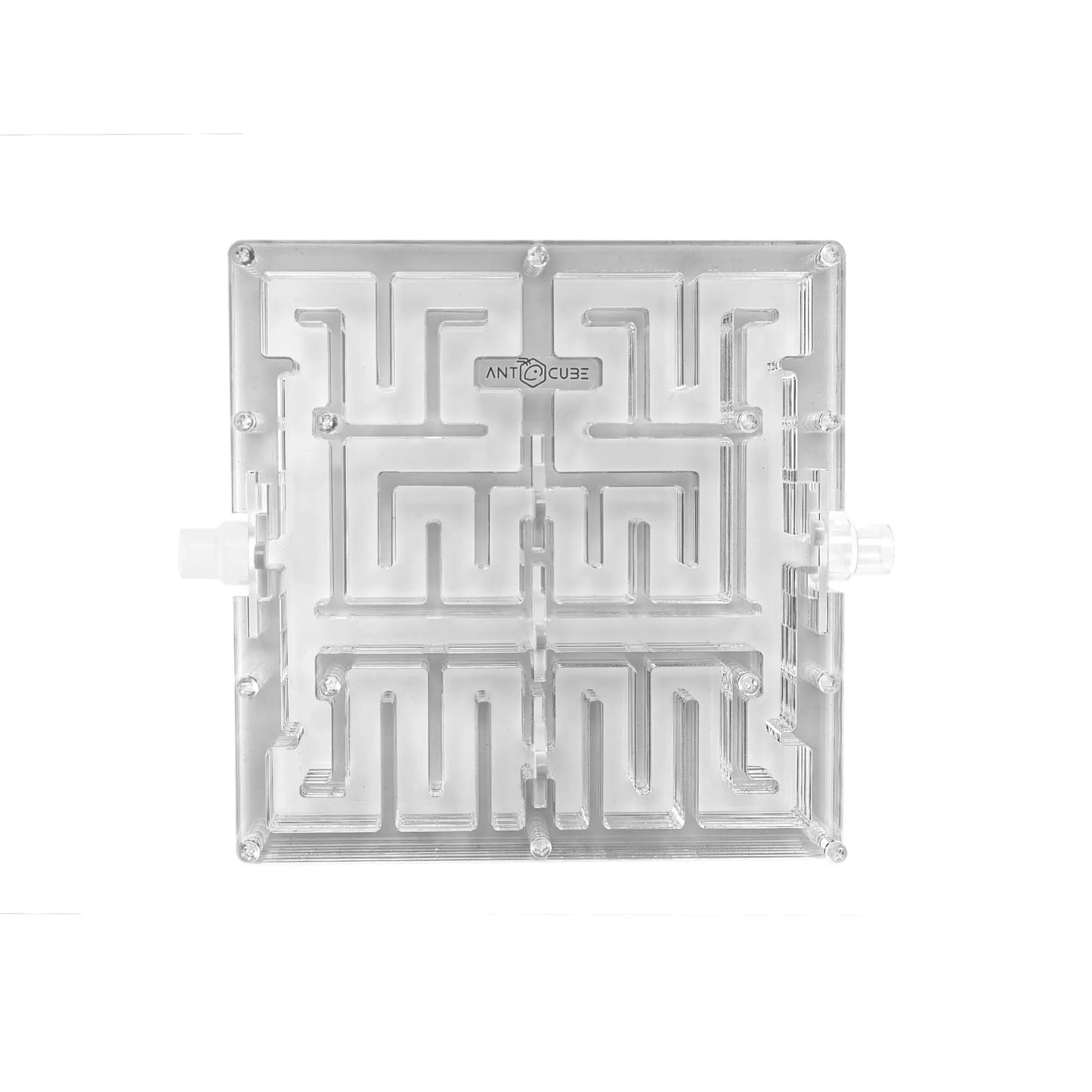 Ant Maze 20×20 Antcube
