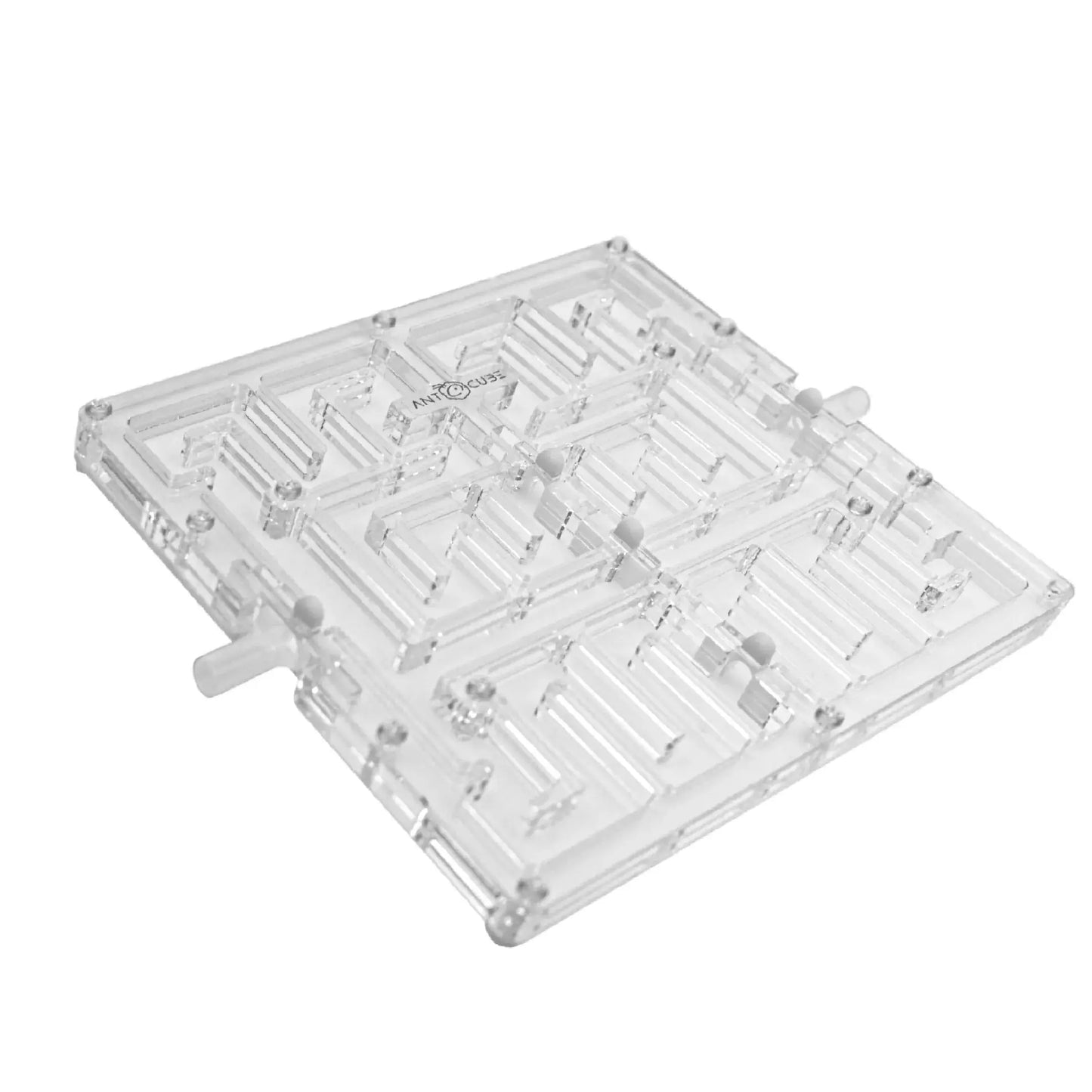 Ant Maze 20×20 – M Antcube