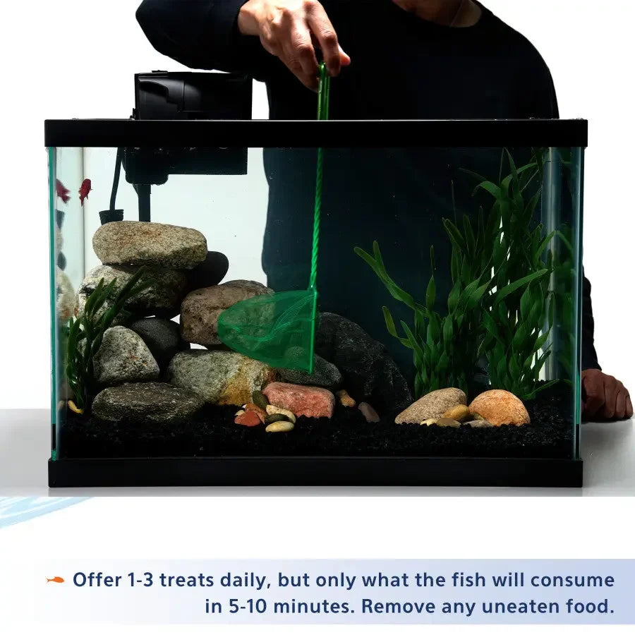 Aqueon Stick'ems Freeze-Dried Fish Food Aqueon