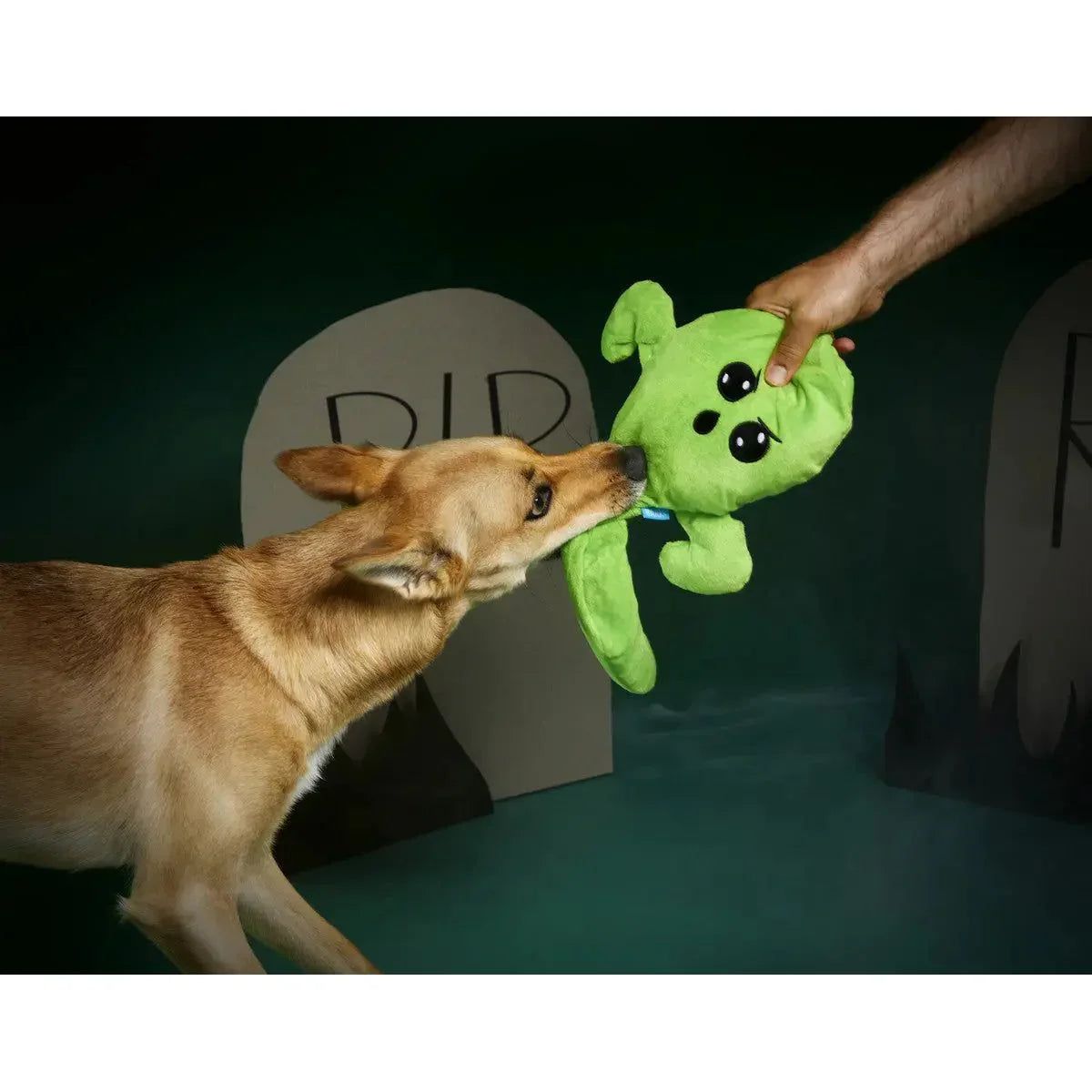 BARK Balltergeist Halloween Plush Dog Toys BARK