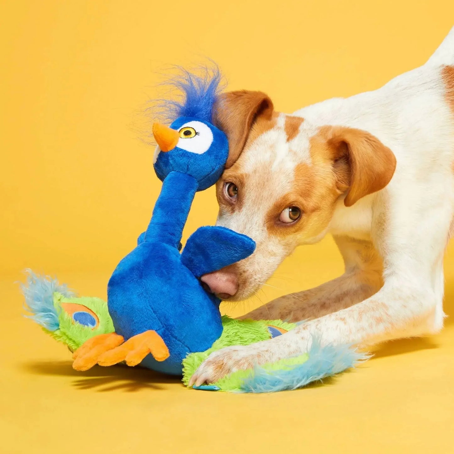 BARK Pop Peacock Dog Toys BARK