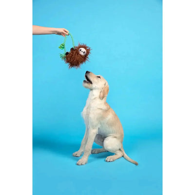 BARK Slo-Mo Beau Dog Toys BARK