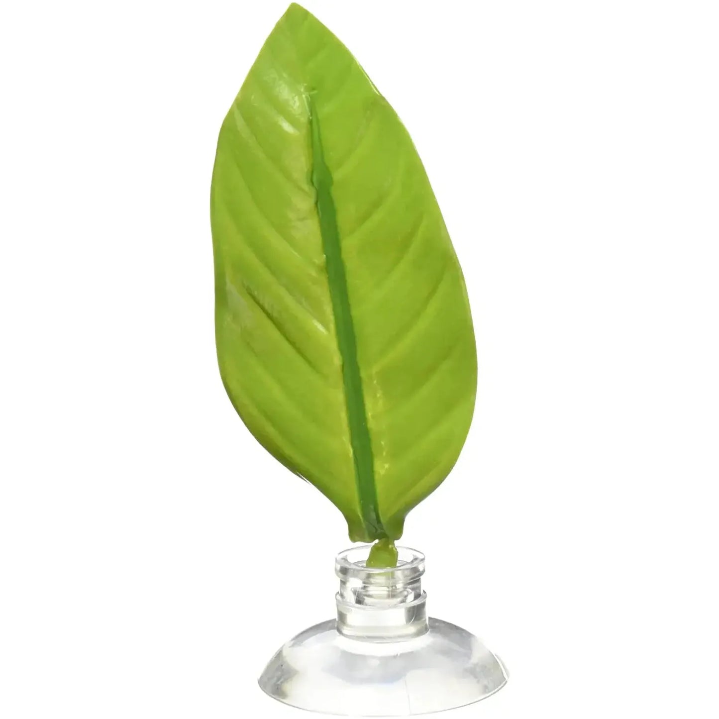 Betta Bed Leaf Hammock Zoo Med Laboratories