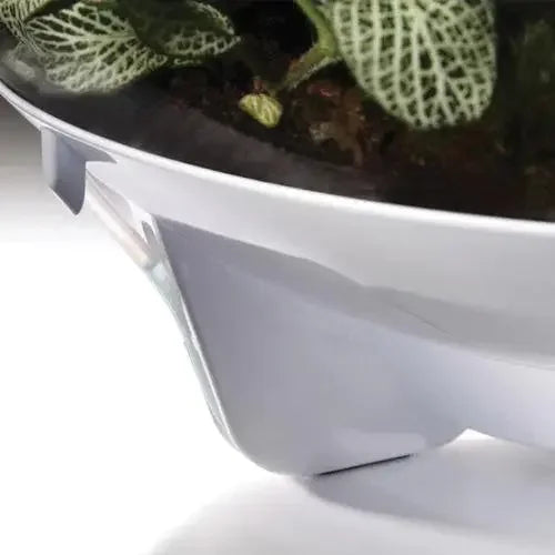 BiOrb AIR 60 Terrarium BiOrb